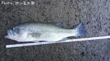 �֥�å��Х�