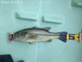 ¥Ö¥é¥Ã¥¯¥Ð¥¹