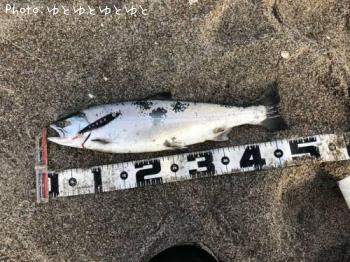 ������ޥ�