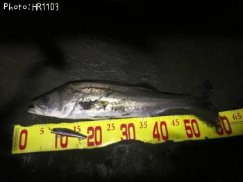 �����Х�