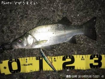 �����Х��ʥҥ饻������