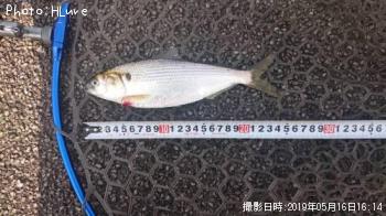 ���Υ���