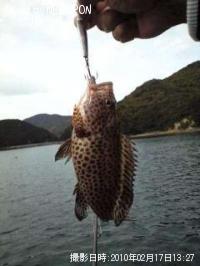 �������ϥ�