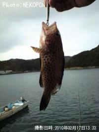 ¥ª¥ª¥â¥ó¥Ï¥¿