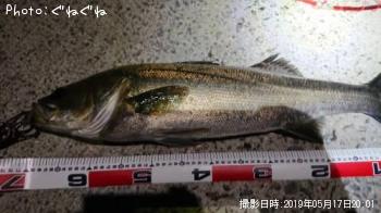 �����Х�