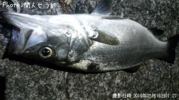 �ҥ饹����