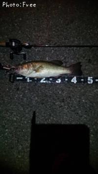 ¥Ö¥é¥Ã¥¯¥Ð¥¹