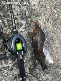 �����ʥ�