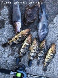 �����Υ���Х�