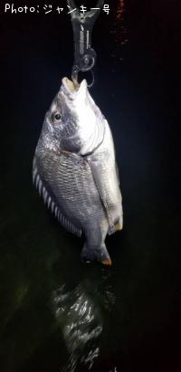 ¥¯¥í¥À¥¤¡¡¥¥Ó¥ì