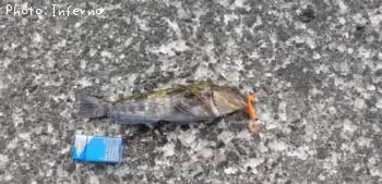 �����ʥ�