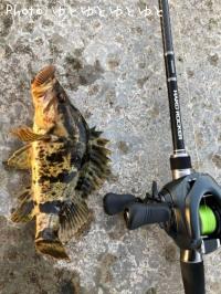 ¥¿¥±¥Î¥³¥á¥Ð¥ë