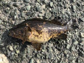 �����Υ���Х�