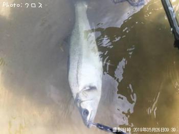 �����Х�