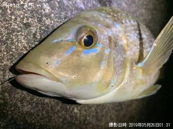 ���ޥ�ڥϥޥե��ե���