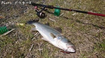 �����Х�