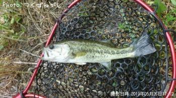 �֥�å��Х�