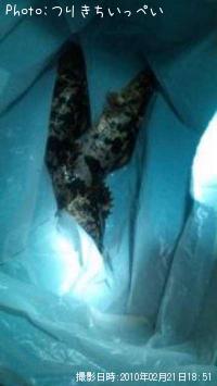 �����Υ���Х�