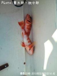 ��ᥫ����