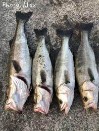 �����Х�