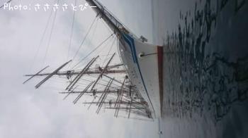 ¥·¡¼¥Ð¥¹¡õ¥·¥ç¥´