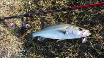 �����Х�