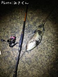 ��󥴥�����