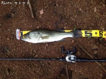 �֥�å��Х�