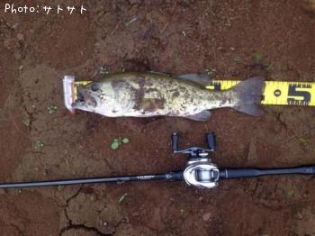 �֥�å��Х�