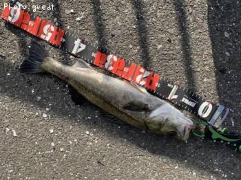 �����Х�