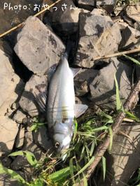 �����Х�