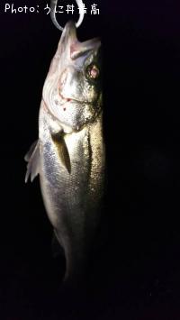 �����Х�