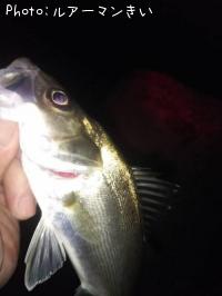 �����Х�