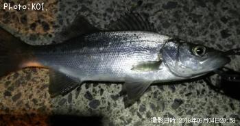 �����Х�