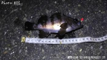 �����Х�