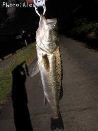 �����Х�