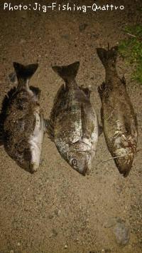 �����Х�����������