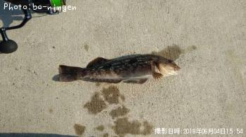 �����ʥ�