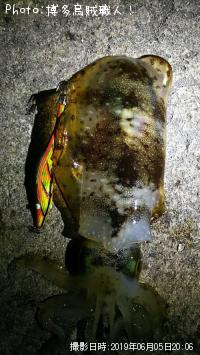 �����ꥤ��