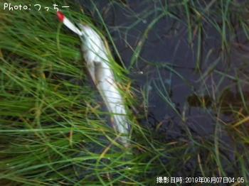 �����Х�