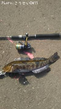 �����ʥ�