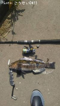 �����ʥ�