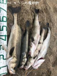 �����Х�