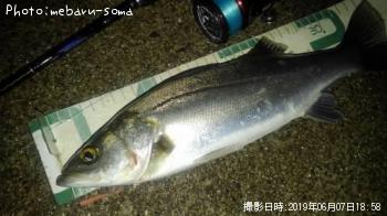 �����Х�