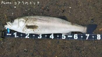 �����Х�