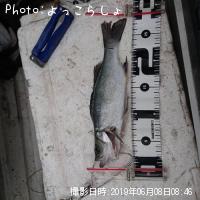 �����Х�