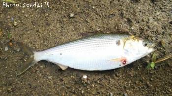 ���Υ���