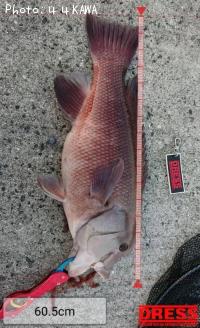 ���֥���