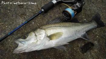 �����Х�