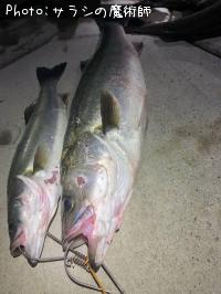 �����Х�